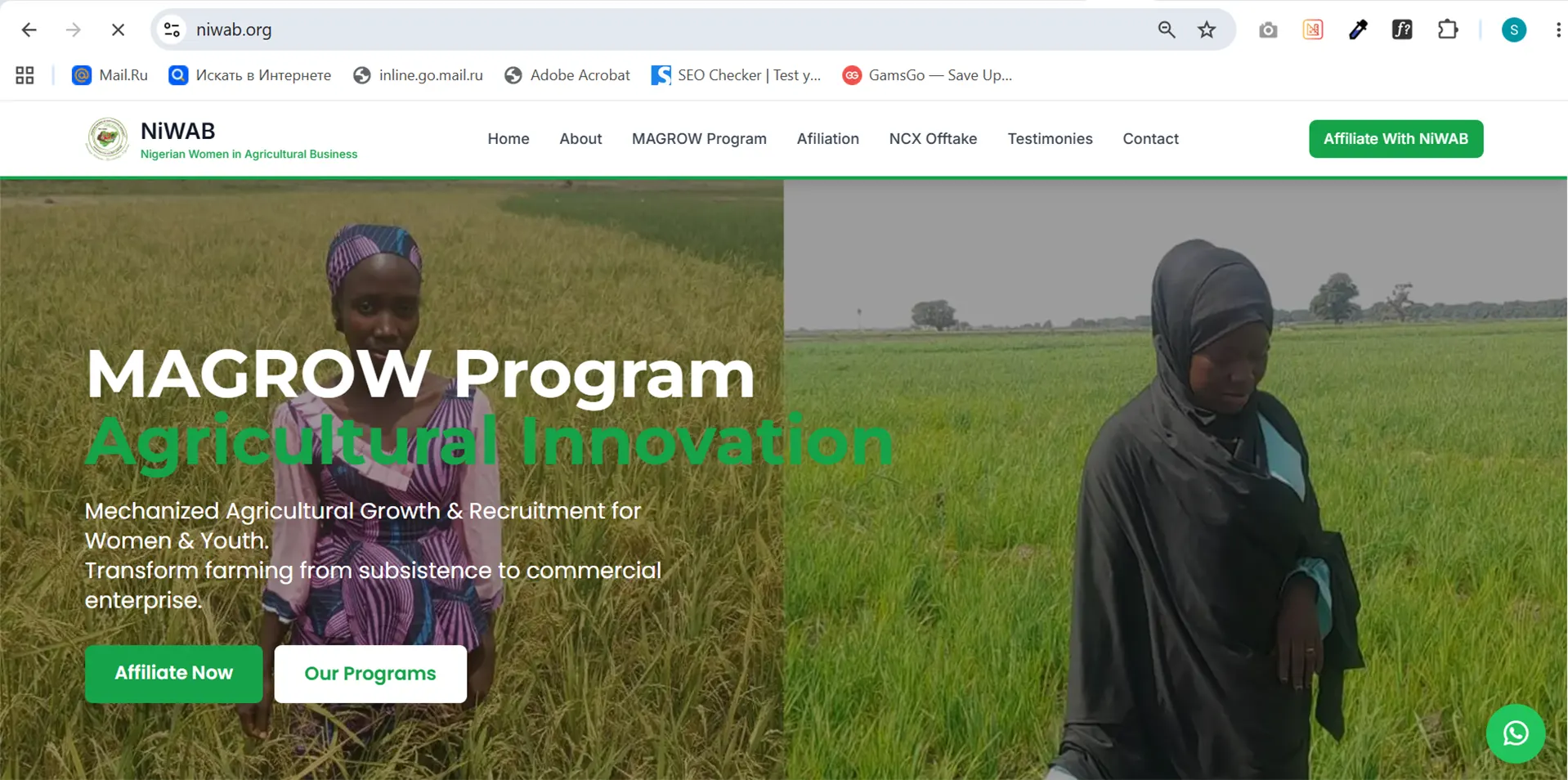 Nigerian Women In Agriculture (NiWAB)